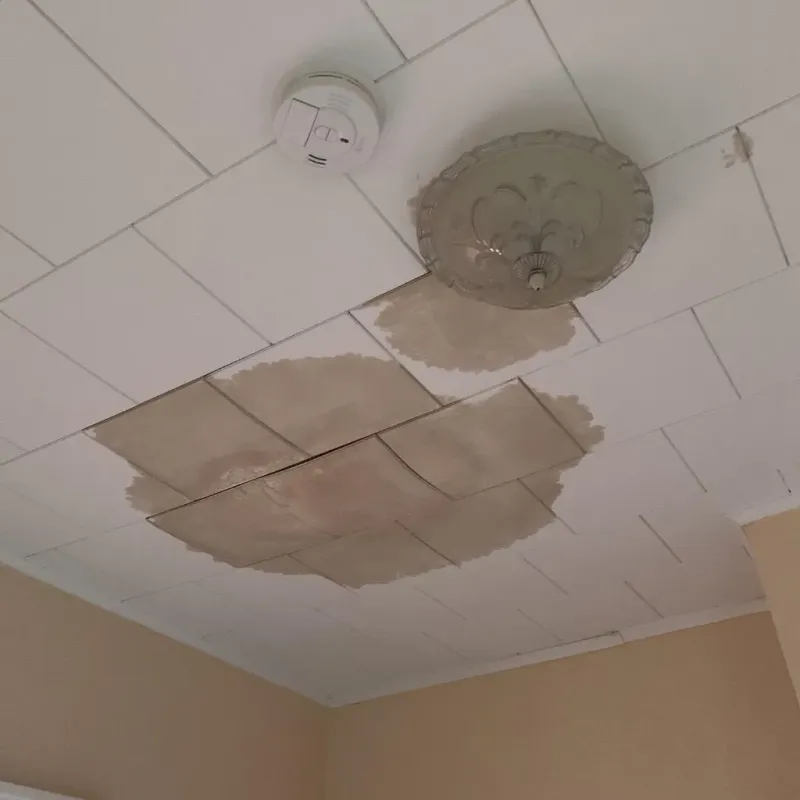 Ceiling Water Damage Repair in Starksboro, VT