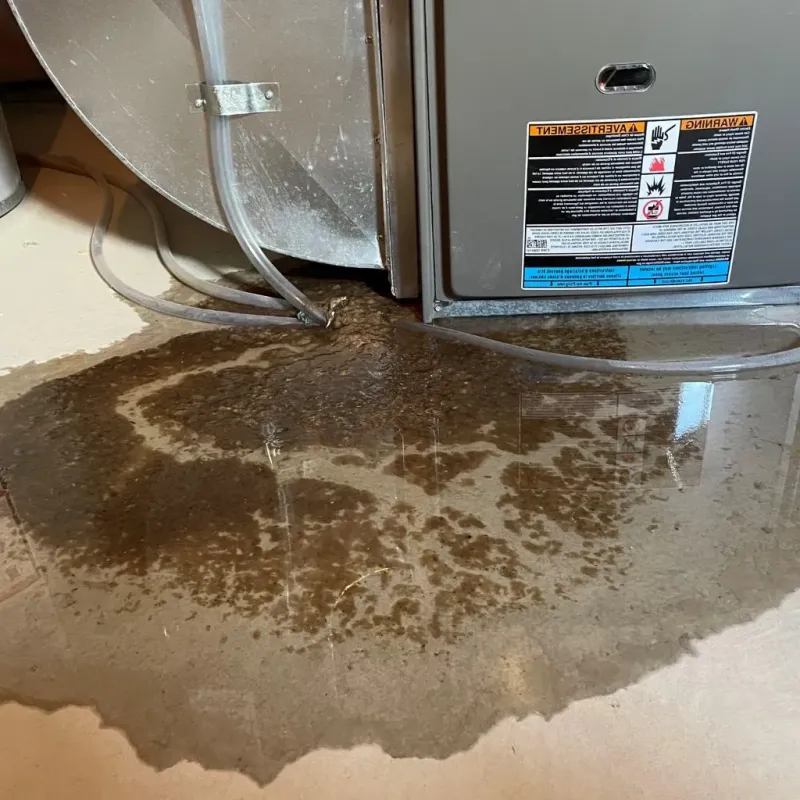 Pipe Burst and Leak Restoration in Starksboro, VT