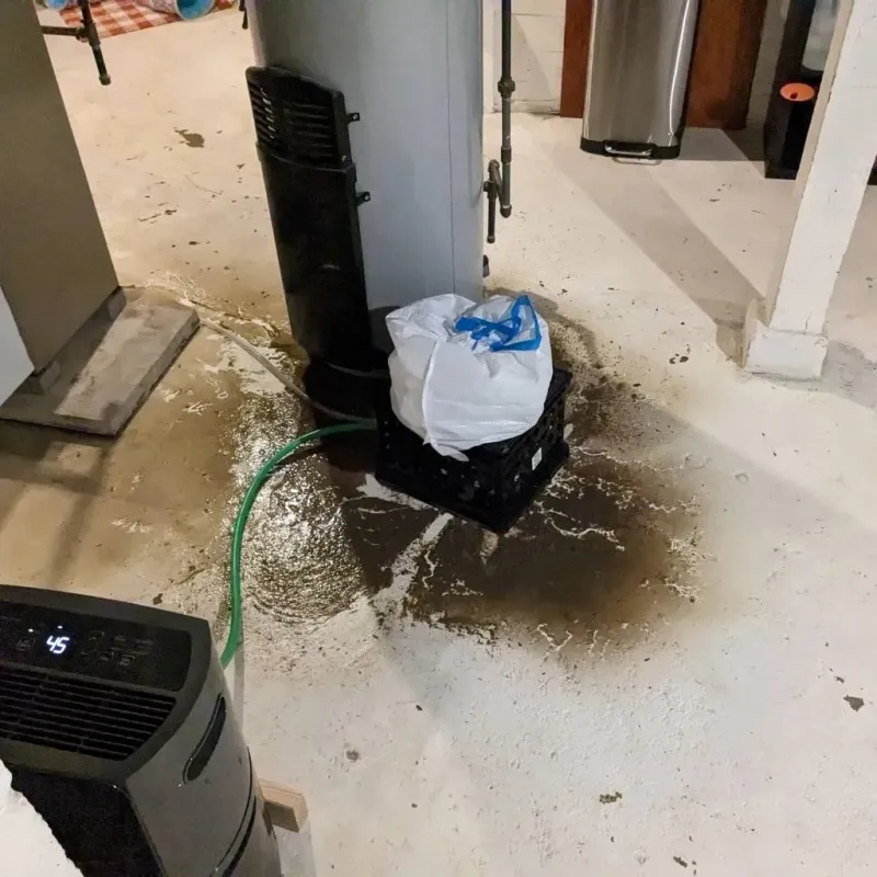 Sewage Backup Cleanup Service in Starksboro, VT